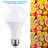 3-Way A21 LED Light Bulbs, Daylight 5000K, E26 Base, Non-Dimmable, Equivalent to 40/60/100W-40590331