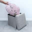 Elijahray 30cm Wide Square Solid Colour Ottoman with Storage-232866263
