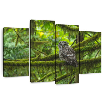 Brampt Mossy Tree Owl