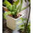 Pot Planter-1889978881