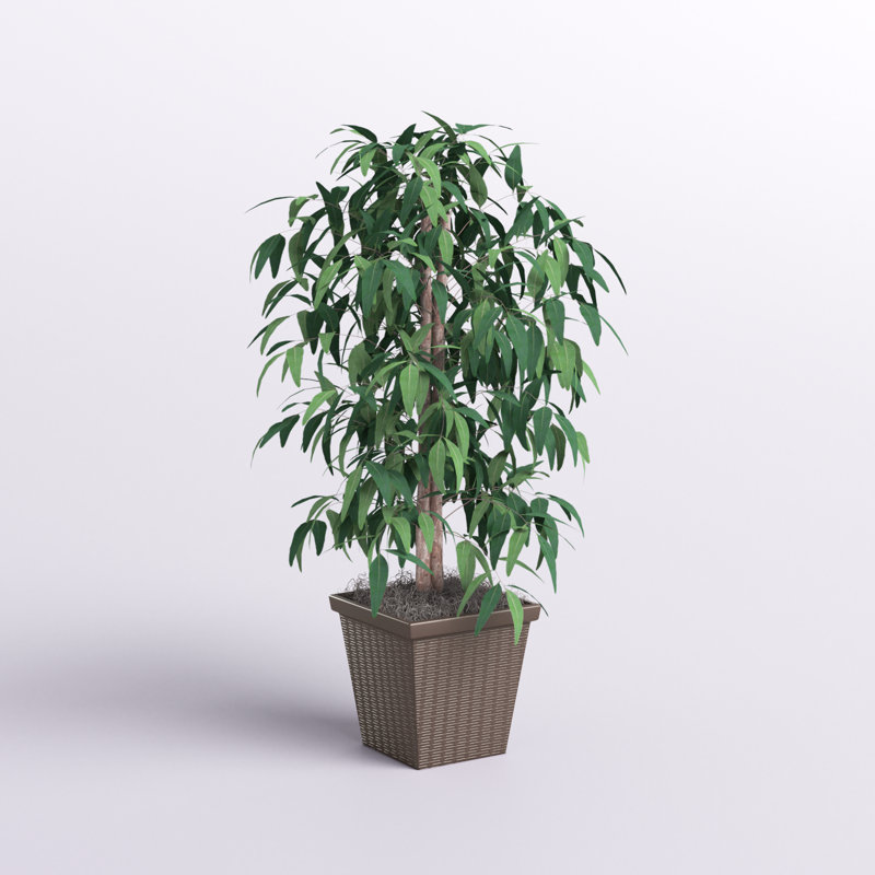 Mangue artificielle en pot 48 ", Brun