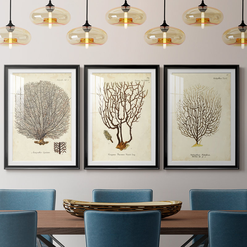 Esper Sea Fans I - reproduction sur mesure encadrée de qualité supérieure - 3 pièces, Noir, H 19 po x l 27 po