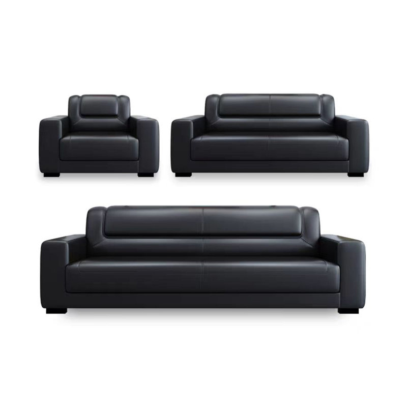 Modern elegant simple sofa set