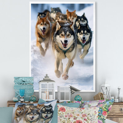 «Alaska Dog Sledding III», reproduction sur toile