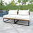 Horsforth 60'' Wide Powder Coated Steel Loveseat with Cushions