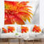 Tapisserie florale orange gerbera avec gouttes de pluie-28486160