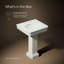 Lavabo de salle de bain rectangulaire 24 "Claude par Studio McGee-128974276-128974277