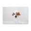 No Frame Print on Canvas