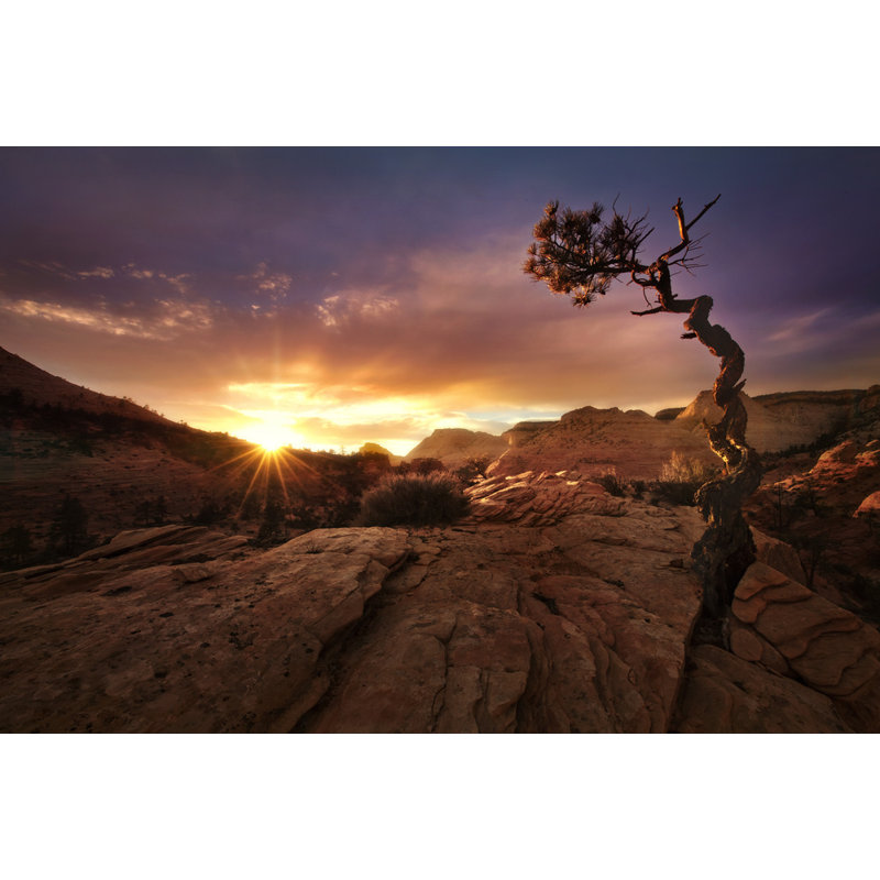 Wrapped Canvas Print, 50.8 cm H x 76.2 cm W