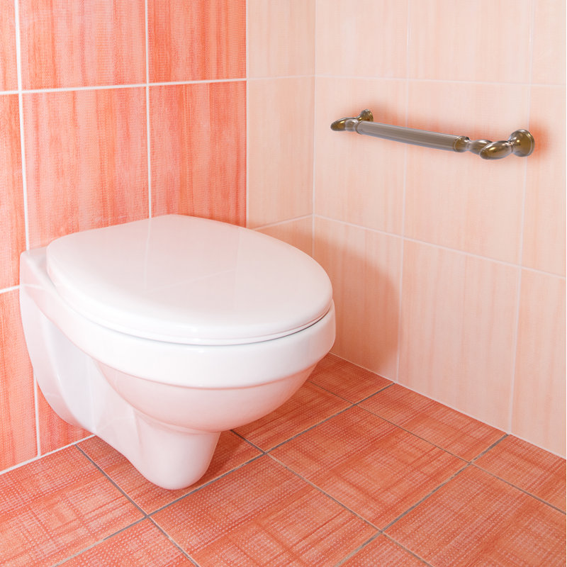 Grab Bar, 16", Brushed Bronze