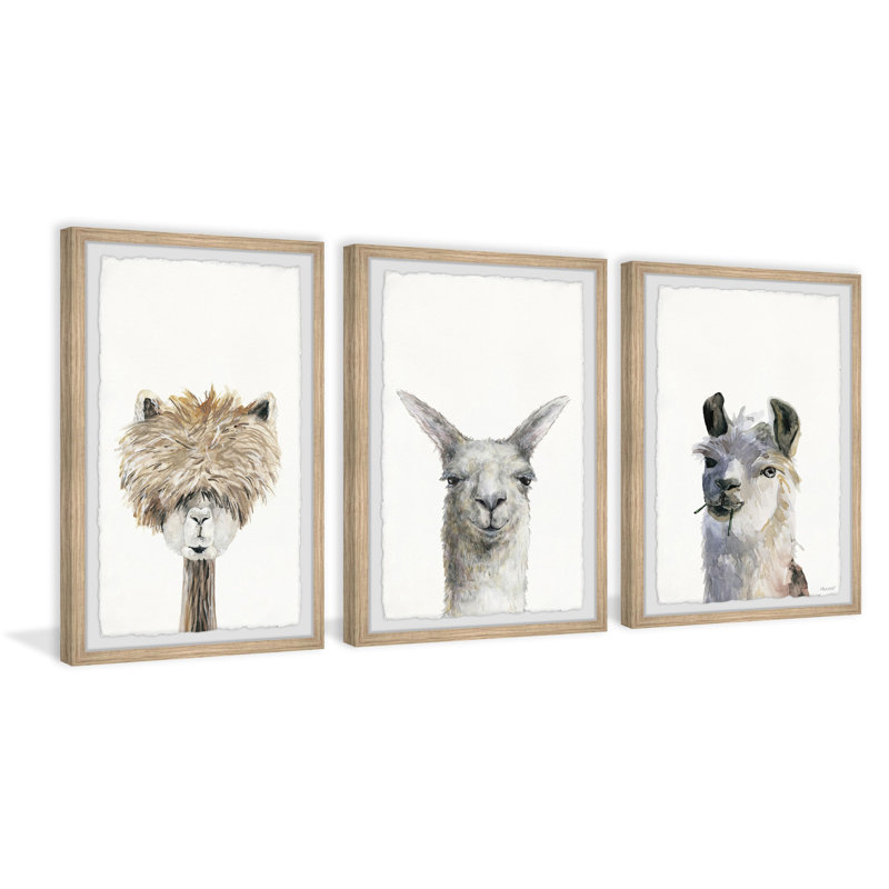«Spano Fluffy Friends», ensemble de 3 reproductions encadrées, H 24 po x l 16 po