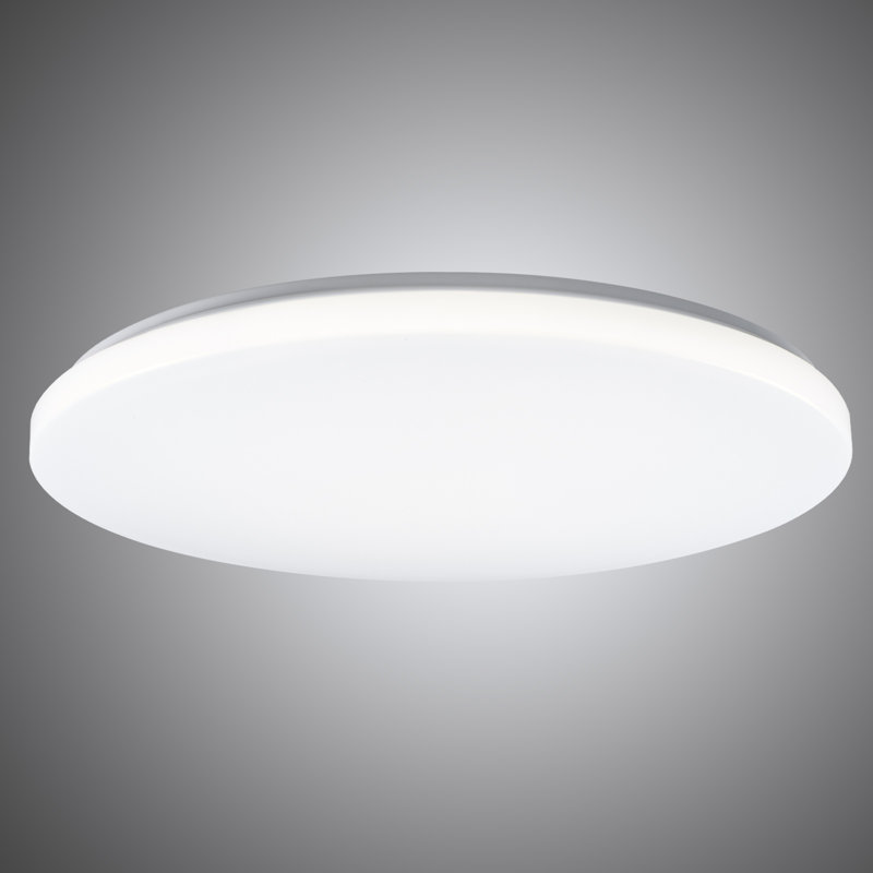 24 Inch 48w Round Led Flush Mount Ceiling Light, 5000k Daylight, Dimmable, Etl Certified