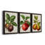 Antique Fruit IX - Ensemble de 3 peintures sur toiles encadrées-1360715211-1360715215