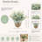 Eucalyptus Arranged in Decorative Ceramic Vase
