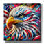  «Bald Eagle Abstract» par Rey Klimt, art mural sur toile, 26 po x 26 po-1607105281