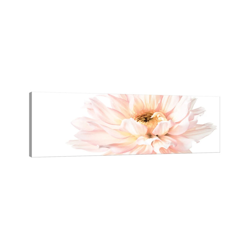 Blush Pink Dahlia I by Christine Zalewski - Wrapped Canvas Panoramic Print, 30.48 cm H x 91.44 cm W x 1.91 cm D