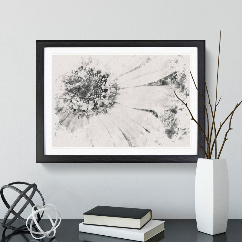 Pretty Flower - Framed Print, 33cm H x 45cm W x 2cm D, Black Framed