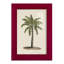 «UK CH British Palms I», reproduction d'art sur papier-46618350-46618347