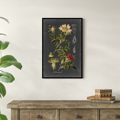 «Midnight Botanical I» par Vision Studio, impression sur toile