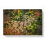 Separating The Forest - Wrapped Canvas-55341261