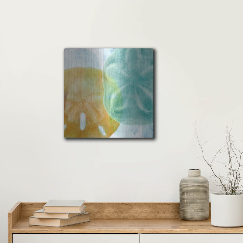 «Luminous Seashells» par Elena Ray, H 12 po x l 12 po