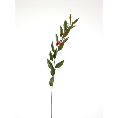 Polysilk Euphobia Arrangement