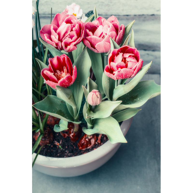 Tulips in Flowers Pot 1 Piece Wrapped Canvas Wall Art, 122cm H x 81cm W
