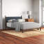 Kacy Leather Bed-1376780267
