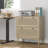 Cassiday 30'' Wide 2 -drawer File Cabinet With Adjustable Hanging Bar-1147683722