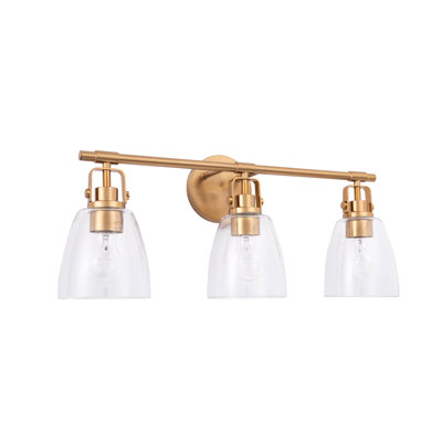 Afeni Modern Farmhouse 3-Light Vanity Light