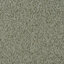 Hazelnut (8794 17)