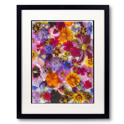 Fleurs florales par Harold Davis