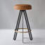 Oberon Upholstered Bar Stool with Metal Frame