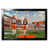 NFL Cleveland Browns