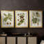 Antique Leaves I - Toile tendue avec châssis sur mesure - 3 pièces-854382223-854382220