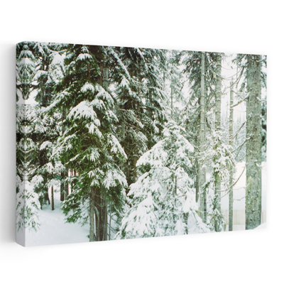 Snow Covered Evergreen Trees At Stevens Pass Washington State Usa Abstract Contemporary Forest Landscape Art
