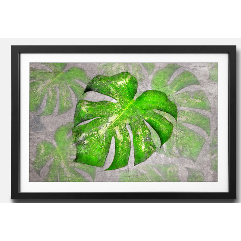 Streetart Big Monstera 1 Piece Single Picture Frame Wall Art, 44cm H x 64cm W x 2.2cm D