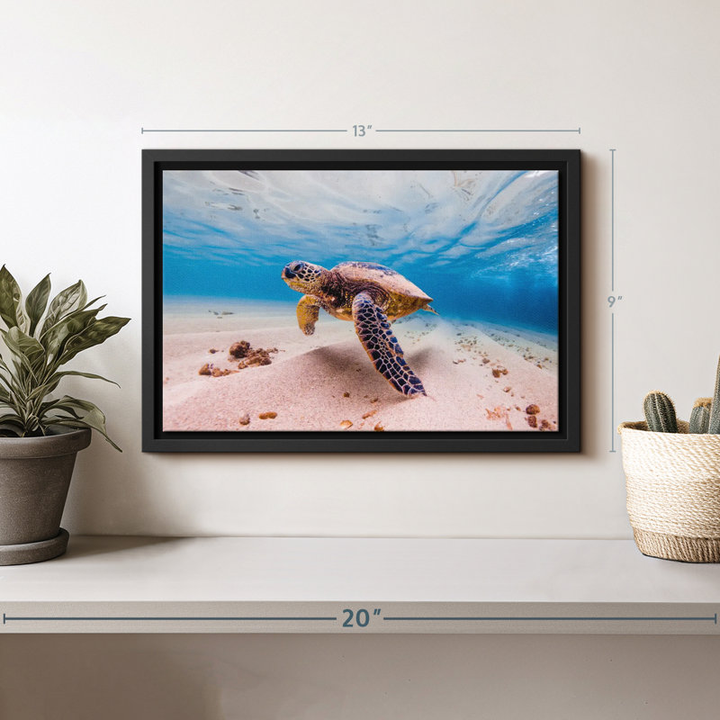 Sandy Turtle Canvas Print, 9" H x 13" W