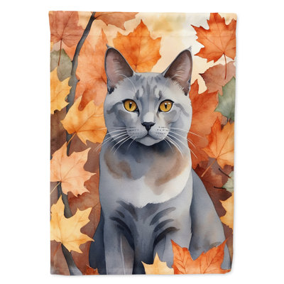 Chat en feuilles d'automne