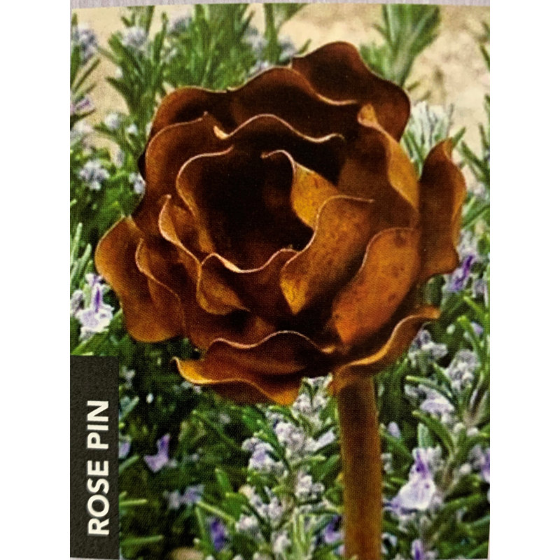 Barkell Metal Plant Support, Brown, 152.4cm H x 0.6cm W