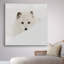«Arctic Fox», reproduction de photo-33511648-32971782