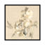 « pivoine fleurs », impression sur toile-31289682-73198732-73198733