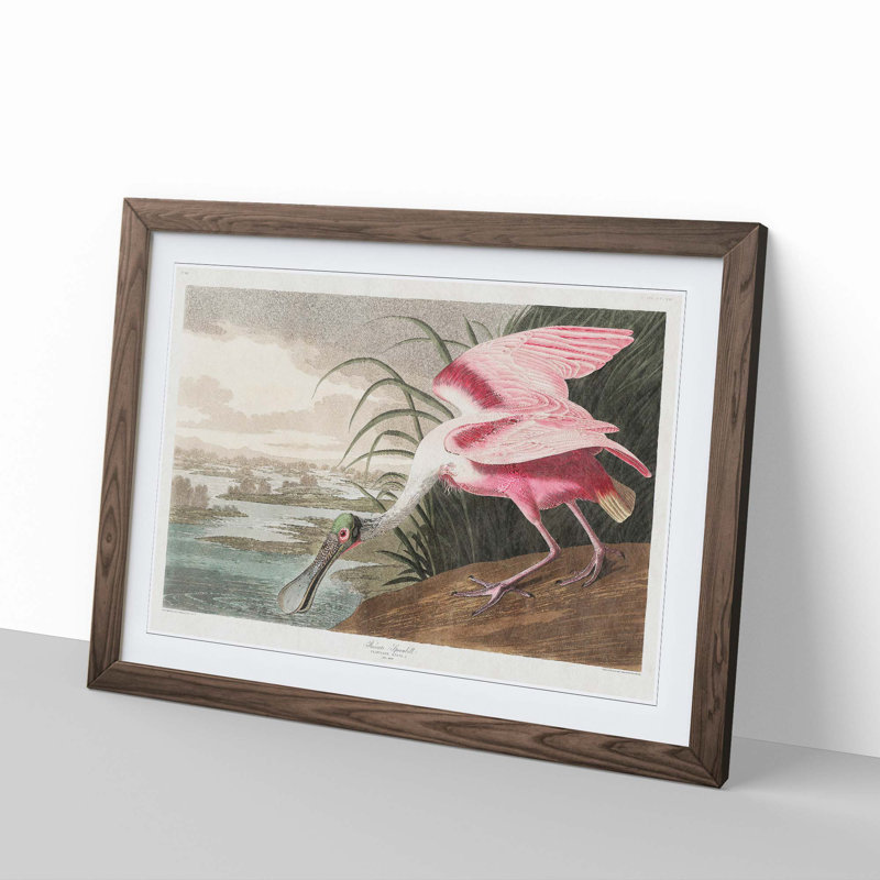 Roseate Spoonbill by John James Audubon - Picture Frame Graphic Art Print, Walnut, 35cm H x 50cm W x 2cm D