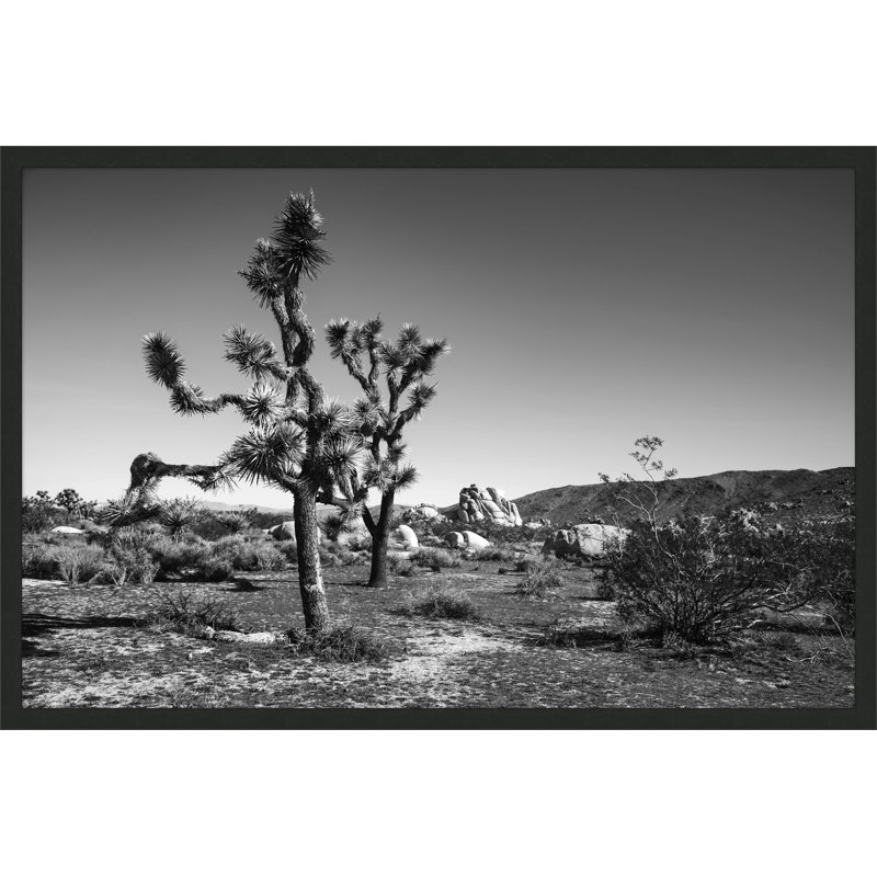 Joshua Tree 2 par Christopher Kennedy - photographie avec cadre photo