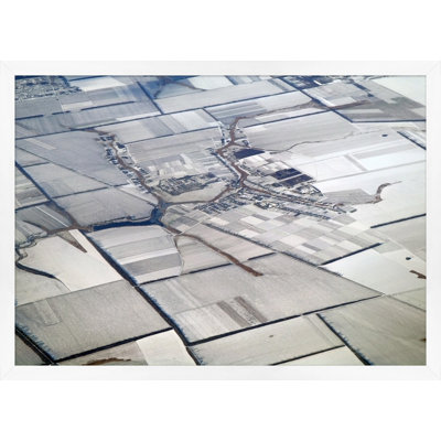 Earth Pattern 2 Print by Thom Filicia