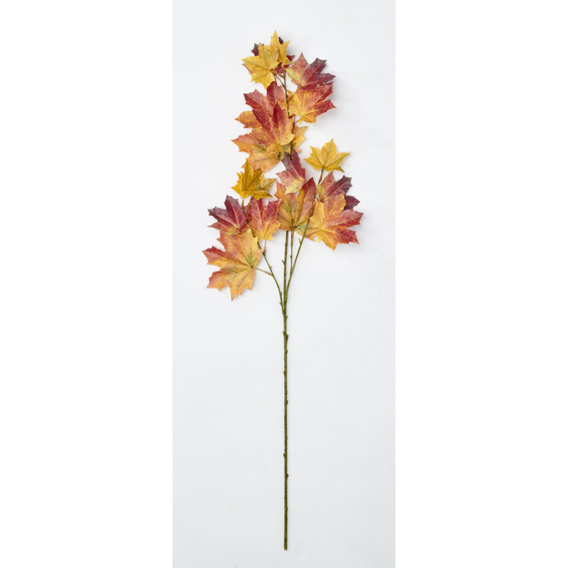 Feuilles d'érable