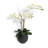 FLORAL 25IN DOUBLE STEM ORCHID-441176213