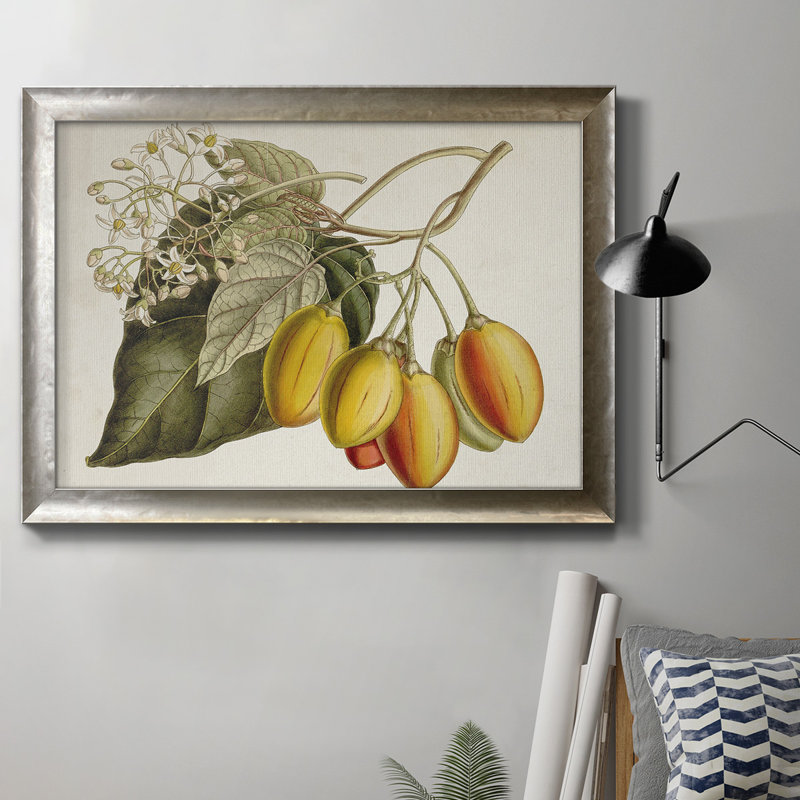 «Tropical Foliage & Fruit IV», peinture sur toile encadrée, L 20 po x H 16 po
