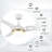 Yeliz 52'' Ceiling Fan with LED Lights