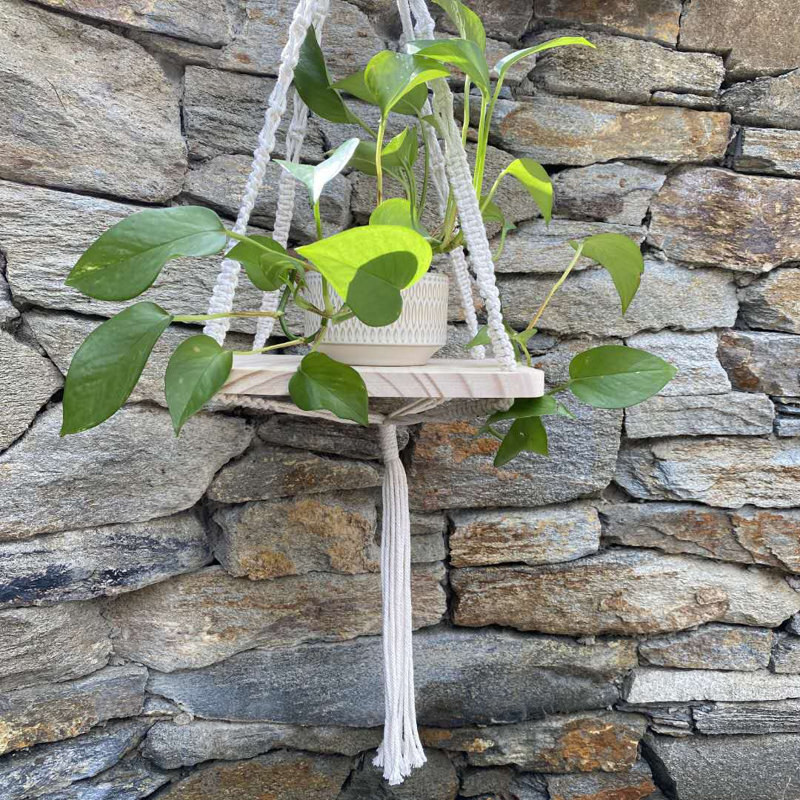 Cintre standard en bois Vasques pour jardinières